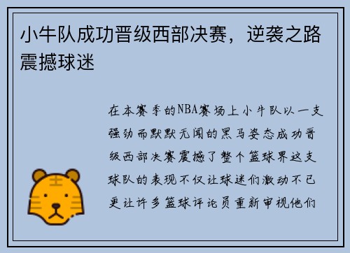 小牛队成功晋级西部决赛，逆袭之路震撼球迷